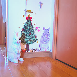 玄関/入り口/クリスマス/皆さんに感謝です(*˙˘˙*)ஐ/お気に入り/クリスマスツリー...などのインテリア実例 - 2022-12-14 08:33:16