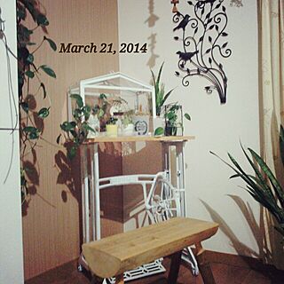 リビング/IKEA温室/ミシン脚テーブル/グリーン/DIY椅子...などのインテリア実例 - 2014-03-21 18:57:03