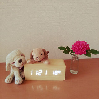 薔薇 一輪挿しのおしゃれなアレンジ 飾り方のインテリア実例 Roomclip ルームクリップ