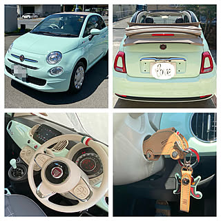 フィアット 可愛い車のおしゃれなアレンジ 飾り方のインテリア実例 Roomclip ルームクリップ