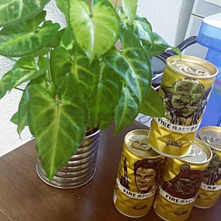 机/観葉植物/コーヒー缶/色々まだまだです。/スターウォーズのインテリア実例 - 2016-02-16 17:59:55