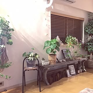 部屋全体/surf/WTW/観葉植物/ナチュラル...などのインテリア実例 - 2015-11-25 00:54:59