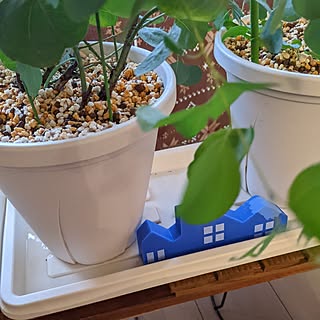 植木鉢 プランター皿のおすすめ商品とおしゃれな実例 ｜ RoomClip