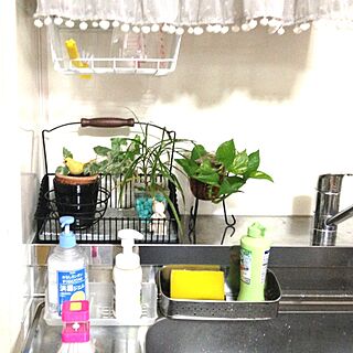 キッチン/キッチンに観葉植物飾りましたのインテリア実例 - 2013-08-26 09:25:51