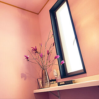 ピンクの壁/トイレ/木蓮/バス/トイレのインテリア実例 - 2021-04-01 09:54:02