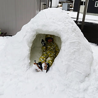 わたしのハンドメイド 冬/イベント参加/かまくら/息子のために/雪かきのインテリア実例 - 2022-01-14 10:26:44