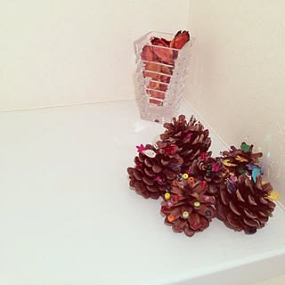 バス/トイレ/手作り/DIY/雑貨/植物...などのインテリア実例 - 2014-02-16 08:32:05