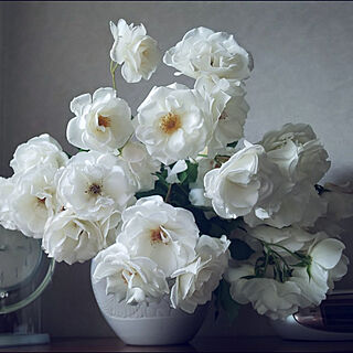 棚/白バラ/花が好き♡/しろが好き*/アイスバーグ♡...などのインテリア実例 - 2021-05-18 17:41:57