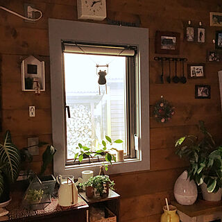 窓辺の風景/BEESの家/壁/天井のインテリア実例 - 2020-10-21 07:13:49