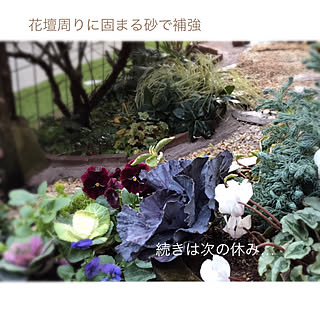 インスタでは進捗状況/記録用/ひとり作業/外構DIY/2012.12.6 ☀️...などのインテリア実例 - 2020-12-06 21:16:09