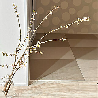 桜/シンプルインテリア/ドアは全部引戸/花のある暮らし/掃除しやすい家...などのインテリア実例 - 2023-03-24 13:55:26