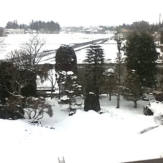 玄関/入り口/雪/景色のインテリア実例 - 2013-03-21 09:25:36