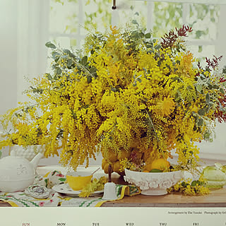 主役の花【ミモザ】/3月のカレンダー/12の花あしらいカレンダー/カレンダー/ミモザ...などのインテリア実例 - 2023-02-18 23:44:34