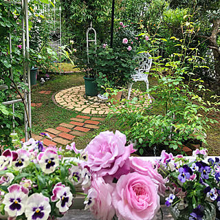 和室の窓から/薔薇が好き/窓から見える庭/パラソルで雨よけ/玄関/入り口...などのインテリア実例 - 2022-05-12 19:17:20