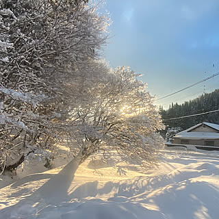 玄関/入り口/朝日が気持ちいい/積雪地域/リビングからの景色/リビングからの眺め...などのインテリア実例 - 2023-12-27 22:43:05