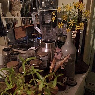 キッチン/DIY/植物/観葉植物/男前...などのインテリア実例 - 2015-04-25 22:17:55