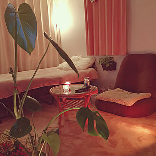 間接照明 アッパーライトのおすすめ商品とおしゃれな実例 ｜ RoomClip