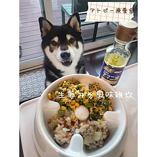 キッチン/皆さんいつもありがとう♡/柴犬のいる暮らし/アトピー療養食/手作りごはん...などのインテリア実例 - 2024-02-14 11:29:34