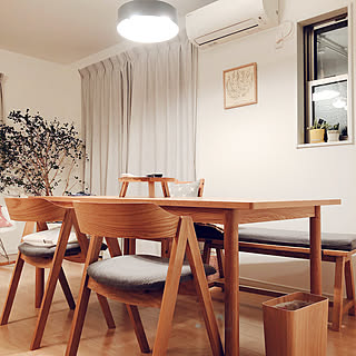 unico ELEMT(エレムト) ダイニング5点セット【チェア②】 unico（ウニコ）ELEMT（エレムト） ダイニングチェア unico(ウニコ)の