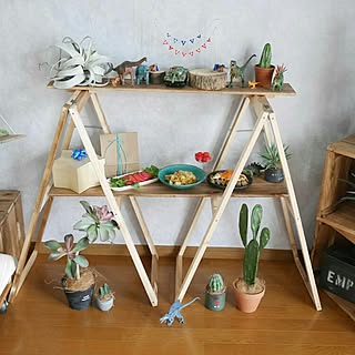 棚/DIY/観葉植物/いなざうるす屋さん/フェイクグリーン...などのインテリア実例 - 2017-06-13 21:36:31