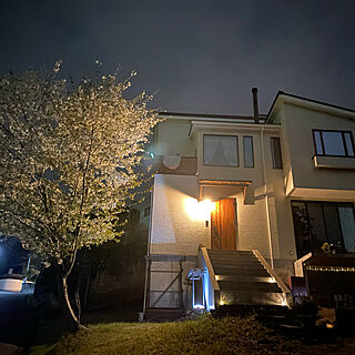 夜桜/桜/家から花見/玄関/入り口のインテリア実例 - 2022-04-02 21:24:22