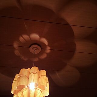 壁/天井/DON WOOD/照明のインテリア実例 - 2017-07-04 14:24:02