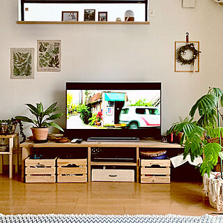 TVボード DIY/ボタニカルインテリア/観葉植物/癒し/窓辺...などのインテリア実例 - 2022-04-26 17:37:05