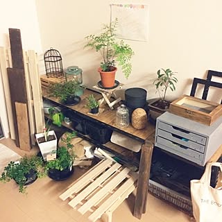 棚/DIY/植物/グリーン×男前目指し中/アジアンタム...などのインテリア実例 - 2014-08-16 02:03:56