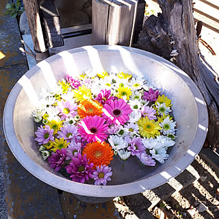 花手水のインテリア実例 Roomclip ルームクリップ