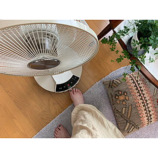 山善/あしもとスイッチfan/夏の記録/こどもと暮らす/扇風機...などのインテリア実例 - 2021-08-07 11:41:51