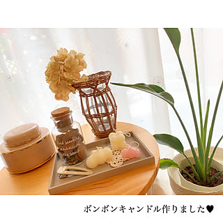 IGやってます/ZARA HOME/楽天roomやってます/愛用品→楽天roomに載せています/爬虫類のいる暮らし...などのインテリア実例 - 2020-07-15 21:43:55