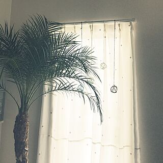 壁/天井/浮き玉/ヤシの木/ハワイのイメージ/観葉植物大好き...などのインテリア実例 - 2017-03-10 15:34:26