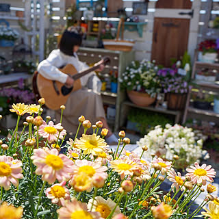 花のある暮らし/Instagram→r_6cafe/ありがとうございます(⋆ᵕᴗᵕ⋆).+*/ガーデニング/フォローありがとうございます♪...などのインテリア実例 - 2020-04-06 21:23:56