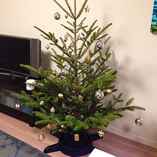 リビング/クリスマスツリー/IKEAのインテリア実例 - 2012-12-24 22:01:47
