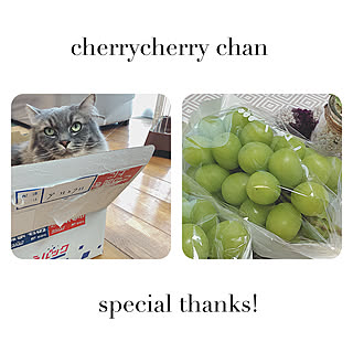 ベッド周り/優しい贈り物♡/cherrycherry ちゃんちの葡萄/cherrycherry ちゃん❤️/ありがとう(*˘︶˘人)♡*...などのインテリア実例 - 2018-09-27 23:10:30