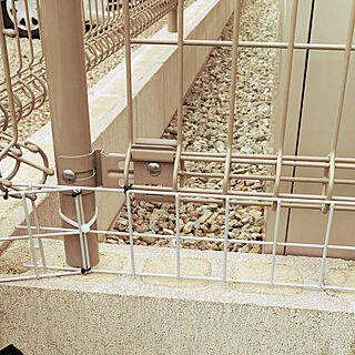 自作/猫避け/庭/DIY/壁/天井のインテリア実例 - 2021-12-03 08:39:02