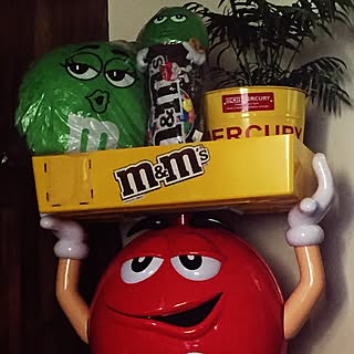 部屋全体/m&m's♡/愛犬と暮らす家/観葉植物/アメリカン雑貨❤️...などのインテリア実例 - 2017-01-31 11:57:13