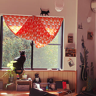 鳥を目で追う猫/窓辺の猫/黒猫ミースケ/ねこのいる風景/リビングのインテリア実例 - 2021-04-10 10:02:51