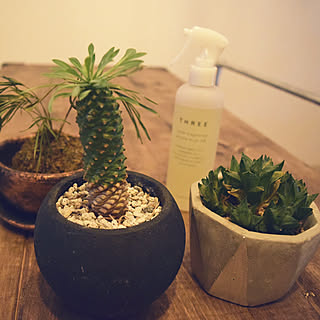 机/観葉植物/THREE/DIY/家具...などのインテリア実例 - 2018-12-08 17:26:10