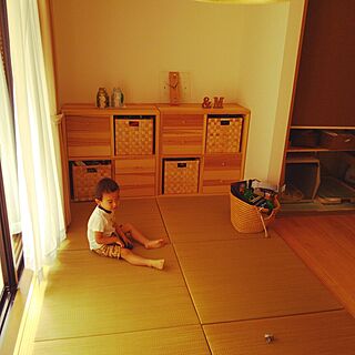部屋全体/和室＆リビング/畳/IKEA/わんこのおうち...などのインテリア実例 - 2014-05-31 16:38:42