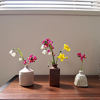 春の庭/スノーフレーク/一輪挿し/花瓶/花のある暮らし...などのインテリア実例 - 2020-04-04 21:30:31