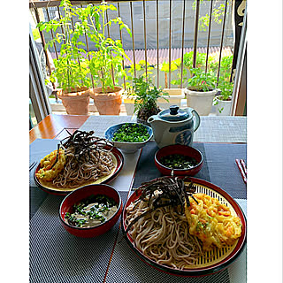 和テイスト/ベランダからの風景も含めてインテリア/心地良い風/家庭菜園/お昼ご飯♡...などのインテリア実例 - 2022-05-31 02:51:43