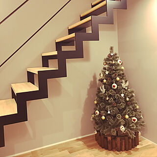 スケルトン階段/階段/クリスマスツリー/玄関/入り口のインテリア実例 - 2019-12-17 12:46:14