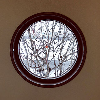 冬を感じる窓/和室/丸窓/雪化粧/クリスマス...などのインテリア実例 - 2021-12-27 14:12:38