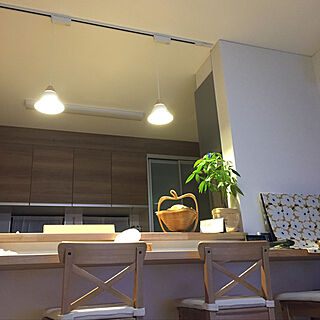 キッチン/IKEA/観葉植物/北欧/雑貨...などのインテリア実例 - 2018-07-19 09:02:57