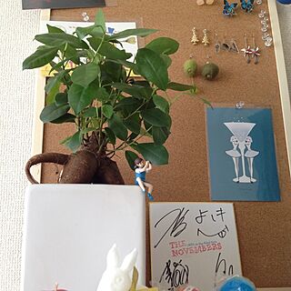 リビング/植物/IKEA/雑貨/フチ子のインテリア実例 - 2013-09-09 14:30:43