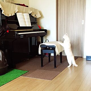リビング/ピアノ/猫バカ部に入れて下さい(=^ェ^=)/猫のいる生活/猫...などのインテリア実例 - 2016-02-11 12:38:32