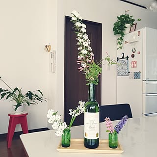 リビング/お花に癒されます♡/観葉植物/ポトス/花のある暮らし...などのインテリア実例 - 2023-04-16 10:52:51