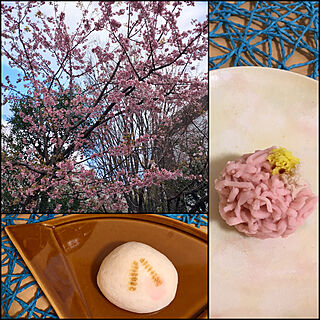 桜/薯蕷饅頭/Make my day/きんとん/やよい...などのインテリア実例 - 2020-03-15 01:19:25
