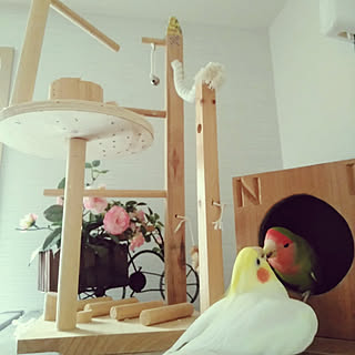 机/DIY/小鳥さん/鳥/鳥部...などのインテリア実例 - 2019-08-07 12:49:11